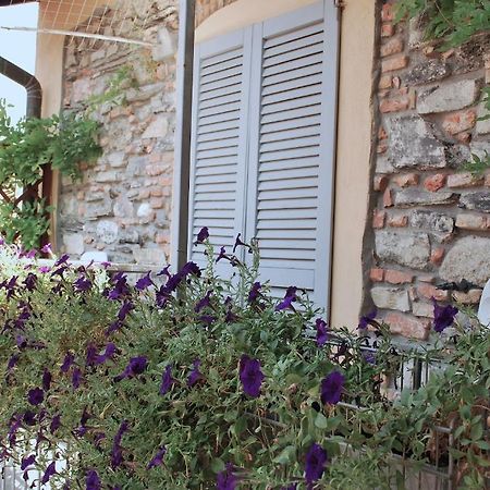 B&B Storico Como Værelse billede